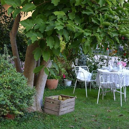 B&B La Magnolia Ostiglia Kültér fotó